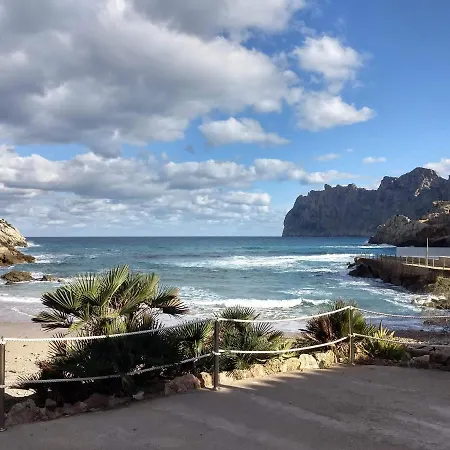 Marti Alcúdia